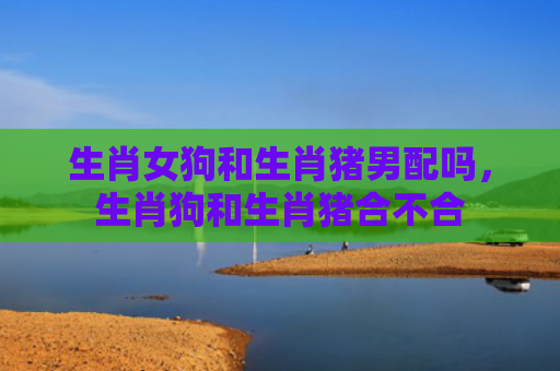 生肖女狗和生肖猪男配吗，生肖狗和生肖猪合不合