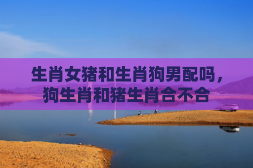 生肖女猪和生肖狗男配吗，狗生肖和猪生肖合不合