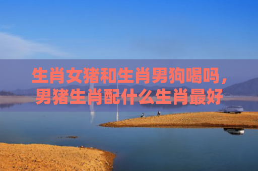 生肖女猪和生肖男狗喝吗，男猪生肖配什么生肖最好