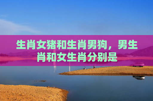 生肖女猪和生肖男狗，男生肖和女生肖分别是