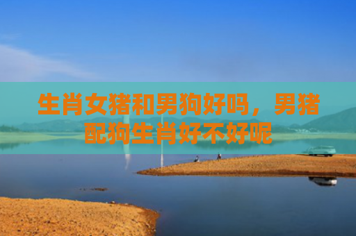 生肖女猪和男狗好吗，男猪配狗生肖好不好呢
