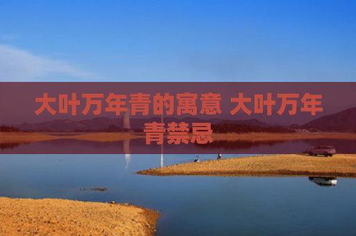 大叶万年青的寓意 大叶万年青禁忌