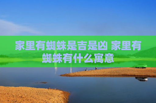 家里有蜘蛛是吉是凶 家里有蜘蛛有什么寓意