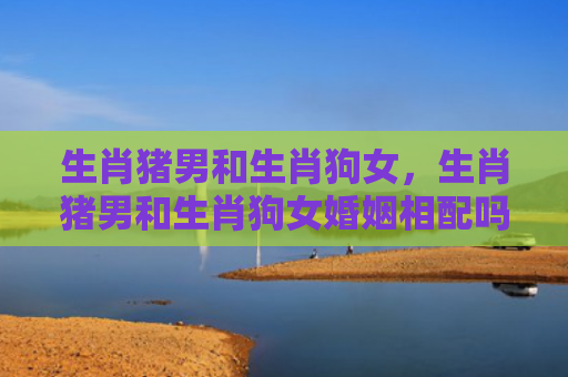 生肖猪男和生肖狗女，生肖猪男和生肖狗女婚姻相配吗