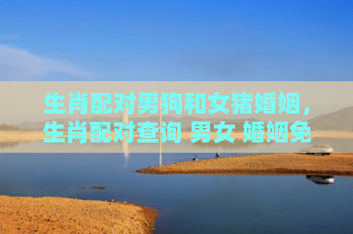 生肖配对男狗和女猪婚姻，生肖配对查询 男女 婚姻免费测试