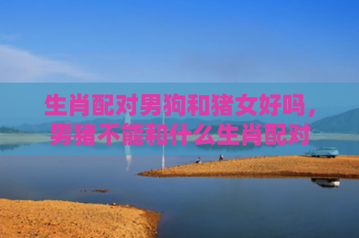 生肖配对男狗和猪女好吗，男猪不能和什么生肖配对