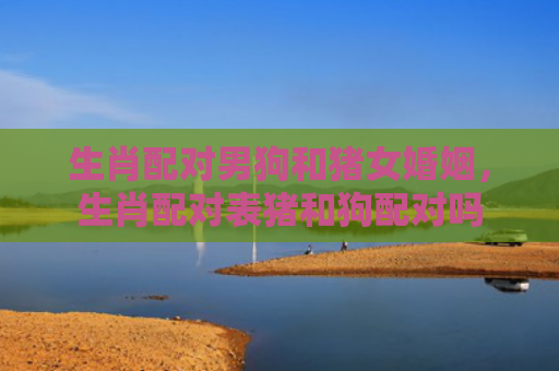 生肖配对男狗和猪女婚姻，生肖配对表猪和狗配对吗
