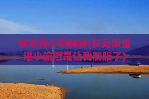 梦见将小偷制服(梦见家里进小偷但是让我制服了)