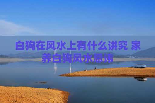 白狗在风水上有什么讲究 家养白狗风水忌讳