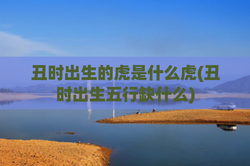 丑时出生的虎是什么虎(丑时出生五行缺什么)