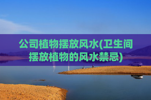 公司植物摆放风水(卫生间摆放植物的风水禁忌)