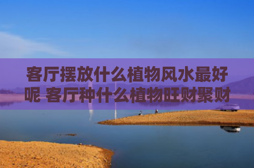 客厅摆放什么植物风水最好呢 客厅种什么植物旺财聚财