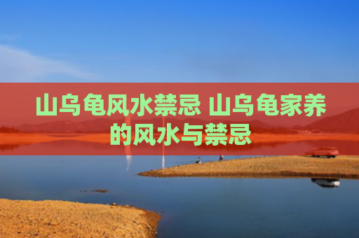 山乌龟风水禁忌 山乌龟家养的风水与禁忌