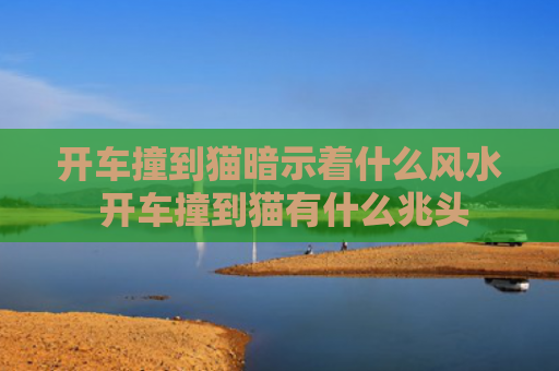 开车撞到猫暗示着什么风水 开车撞到猫有什么兆头