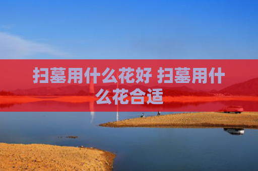 扫墓用什么花好 扫墓用什么花合适