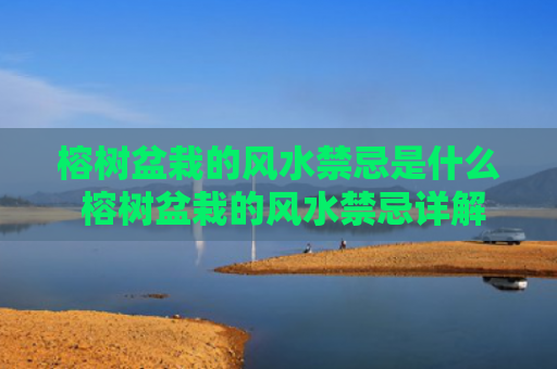 榕树盆栽的风水禁忌是什么 榕树盆栽的风水禁忌详解