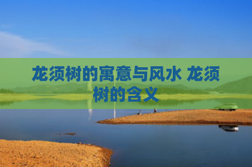 龙须树的寓意与风水 龙须树的含义