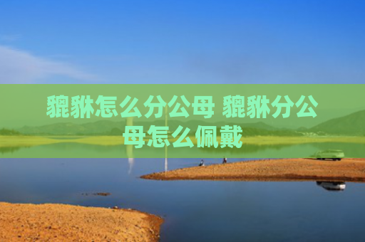 貔貅怎么分公母 貔貅分公母怎么佩戴
