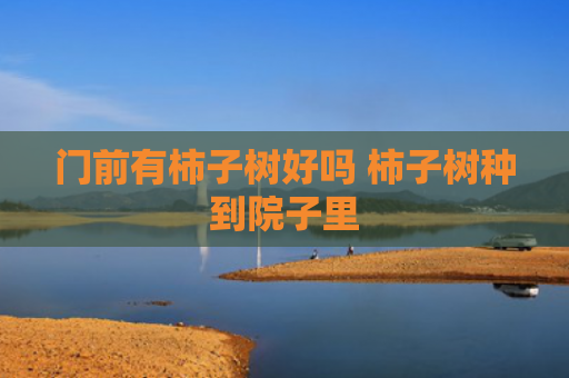 门前有柿子树好吗 柿子树种到院子里