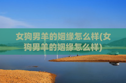 女狗男羊的姻缘怎么样(女狗男羊的姻缘怎么样)