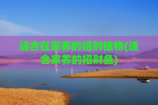 适合在家养的招财植物(适合家养的招财鱼)