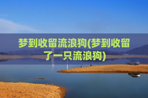 梦到收留流浪狗(梦到收留了一只流浪狗) 梦到收留流浪狗(梦到收留了一只流浪狗)
