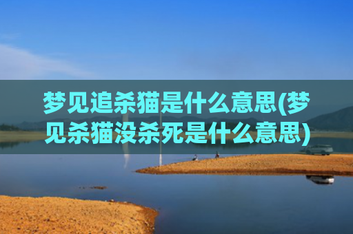 梦见追杀猫是什么意思(梦见杀猫没杀死是什么意思)