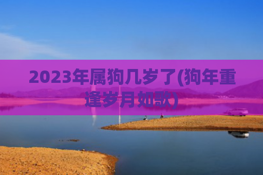 2023年属狗几岁了(狗年重逢岁月如歌)