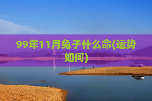 99年11月兔子什么命(运势如何)
