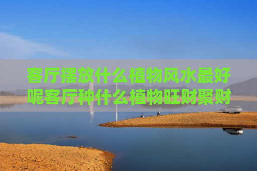 客厅摆放什么植物风水最好呢客厅种什么植物旺财聚财的简单介绍