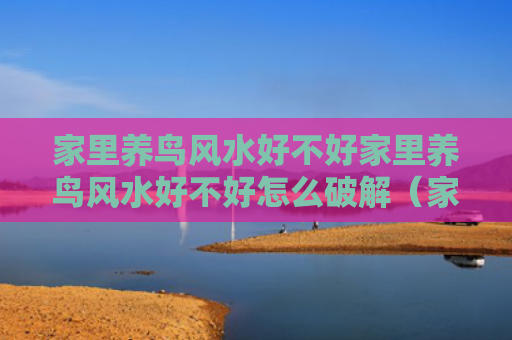 家里养鸟风水好不好家里养鸟风水好不好怎么破解（家里养鸟吉利吗）
