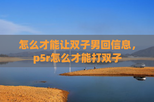 怎么才能让双子男回信息，p5r怎么才能打双子