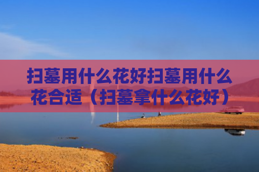 扫墓用什么花好扫墓用什么花合适（扫墓拿什么花好）