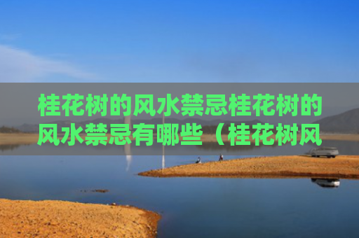桂花树的风水禁忌桂花树的风水禁忌有哪些（桂花树风水好吗）