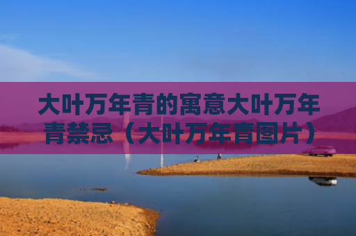 大叶万年青的寓意大叶万年青禁忌（大叶万年青图片）