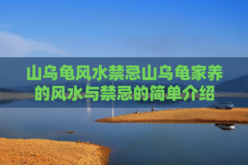 山乌龟风水禁忌山乌龟家养的风水与禁忌的简单介绍