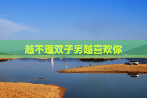 越不理双子男越喜欢你