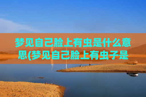 梦见自己脸上有虫是什么意思(梦见自己脸上有虫子是什么意思)