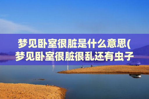 梦见卧室很脏是什么意思(梦见卧室很脏很乱还有虫子)
