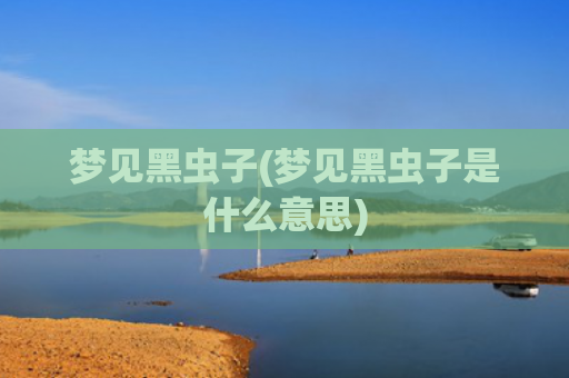 梦见黑虫子(梦见黑虫子是什么意思)