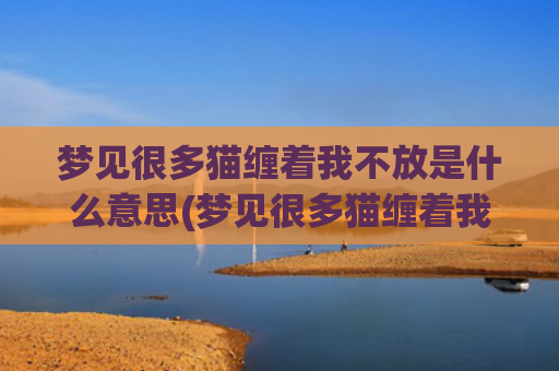 梦见很多猫缠着我不放是什么意思(梦见很多猫缠着我咬我)