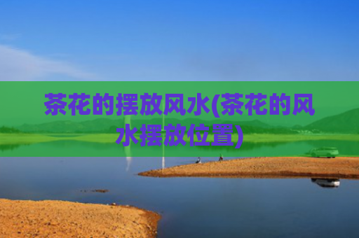 茶花的摆放风水(茶花的风水摆放位置)