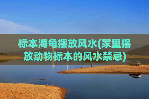 标本海龟摆放风水(家里摆放动物标本的风水禁忌)