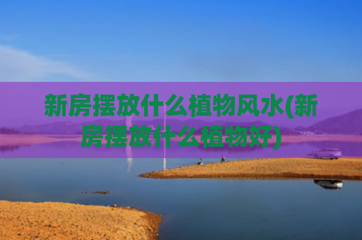 新房摆放什么植物风水(新房摆放什么植物好)