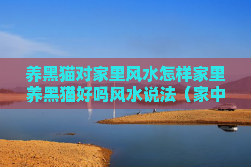 养黑猫对家里风水怎样家里养黑猫好吗风水说法（家中养黑猫有什么说法）