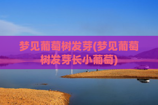 梦见葡萄树发芽(梦见葡萄树发芽长小葡萄)
