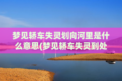 梦见轿车失灵划向河里是什么意思(梦见轿车失灵到处乱跑)