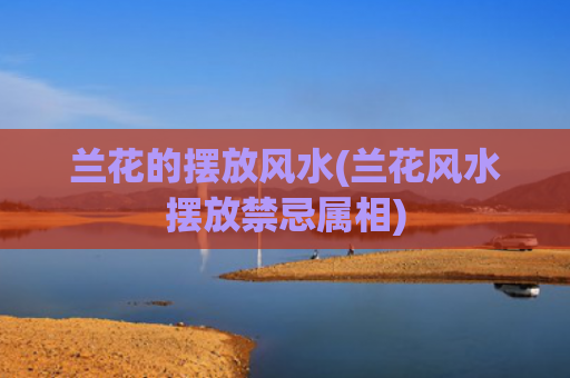 兰花的摆放风水(兰花风水摆放禁忌属相)