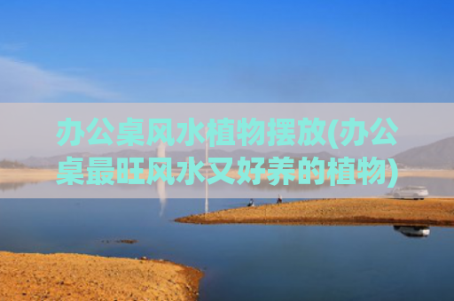 办公桌风水植物摆放(办公桌最旺风水又好养的植物)