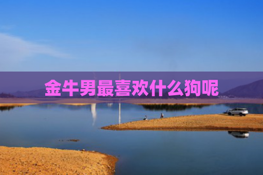 金牛男最喜欢什么狗呢